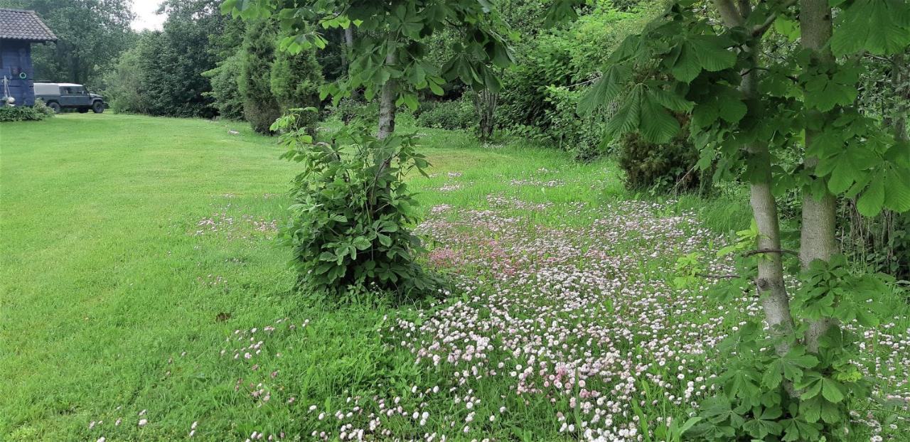 Saulepa Cottage Dış mekan fotoğraf